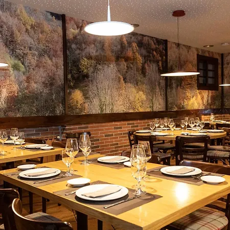 Hotel Restaurante De Torres Felechosa