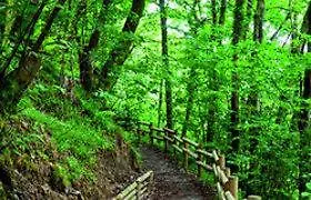 Restaurante De Torres فيليتشوسا