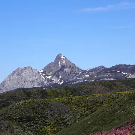 Restaurante De Torres فندق فيليتشوسا