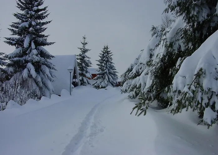 Restaurante De Torres 2* Felechosa