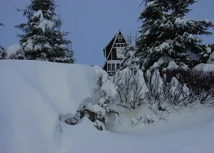 Restaurante De Torres Felechosa